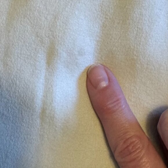 Eileen Fisher Silk Georgette Crepe Slouchy Ankle Pants In Bone Size Medium - Picture 9 of 9